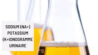 Sodium Na Potassium KIonogramme urinaire [upl. by Nezam]