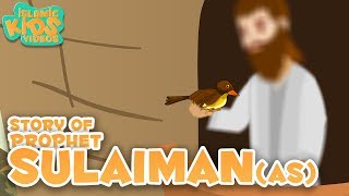 Prophet Stories In English  Prophet Sulaiman AS Story Stories Of The Prophets  Quran Stories [upl. by Iline]