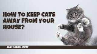 How to keep cats away  How to keep cats away from your house [upl. by Aehsal]