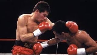 Julio Cesar Chavez vs Edwin Rosario Highlights [upl. by Rahm966]