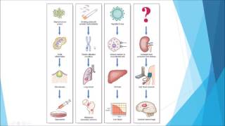 Scleroderma  an Osmosis Preview [upl. by Aylsworth]