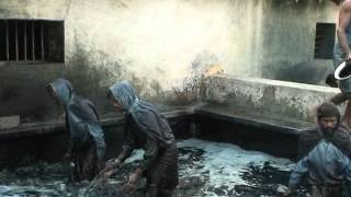 Indigo Dye Extraction [upl. by Cai375]