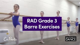 RAD Grade 3 Barre exercises [upl. by Aremmat855]