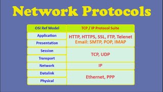 Network Protocols [upl. by Lotte670]