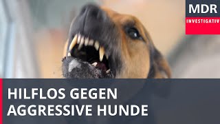 Hilflos gegen aggressive Hunde [upl. by Nolie]