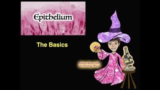 Epithelium The Basics [upl. by Alikee]