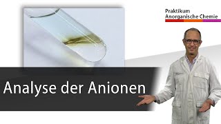 Analyse der Anionen  Praktikum Anorganische Chemie [upl. by Ahtabat]