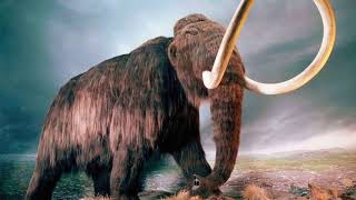 What did a woolly mammoth sound like [upl. by Acitel]