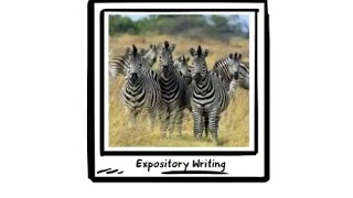 Expository Writing Primary [upl. by Powe]