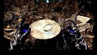 Skyrim  how to get ALL TEMPLE AMULETS easily [upl. by Nwahsat113]