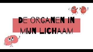 De organen in mijn lichaam [upl. by Jannery]