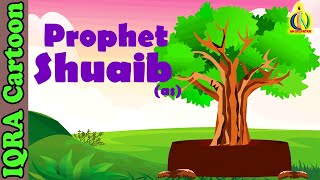 Prophet Stories SHUAIB AS  Islamic Cartoon  Quran Stories  Islamic Children Kids Videos  Ep 09 [upl. by Almeria]