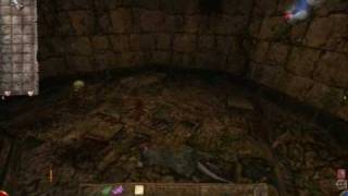 Arx Fatalis PC Gameplay [upl. by Bunnie527]