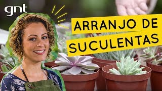 Aprenda a fazer arranjo de plantas com suculentas  Jardinagem  Carol Costa [upl. by Carlen76]