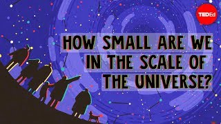 How small are we in the scale of the universe  Alex Hofeldt [upl. by Early]