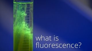 What is Fluorescence [upl. by Sherry978]