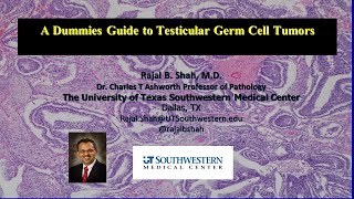 A Dummies Guide to Testicular Germ Cell Tumors [upl. by Jaylene]