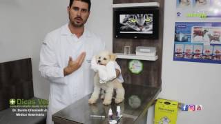 Clinica Animals  Dicas Vet 6  Como dar remédio líquido por via oral [upl. by Ihc603]