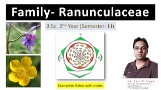 Family Ranunculaceae [upl. by Ellenyl]