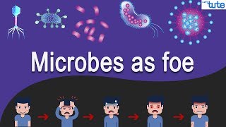 MicroOrganism and its Types  Biology  Letstute [upl. by Lavina]