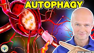 What Is Autophagy 8 Amazing Benefits Of Fasting That Will Save Your Life [upl. by Gazo]