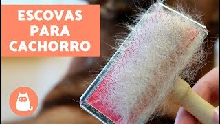 Tipos de escovas para cachorro  CUIDAR DO PELO [upl. by Nomled504]