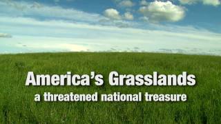 Americas Grasslands A Threatened National Treasure [upl. by Eceela]