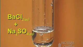 Double Displacement Sodium Sulfate and Barium Chloride [upl. by Agrippina308]