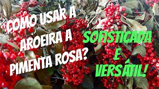 AROEIRA PIMENTA ROSA DICAS DE COMO USAR [upl. by Ajtak536]