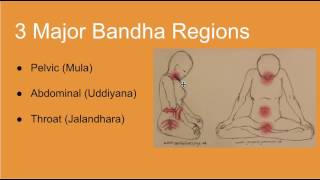 Yoga Bandhas Introduction [upl. by Ahsei]