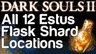 All 12 Estus Flask Shard Locations  Dark Souls 2  WikiGameGuides [upl. by Kira]