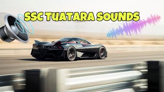 SSC Tuatara PURE SOUND amp RAW POWER [upl. by Adahs599]