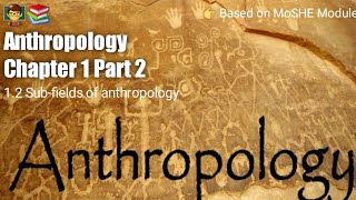 Anthropology Chapter 1  Part 2   Subfields of anthropology [upl. by Wahl689]