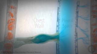 Pleural SpacePart 2 of 3 Pleural Fluid Dynamics HD [upl. by Geerts]