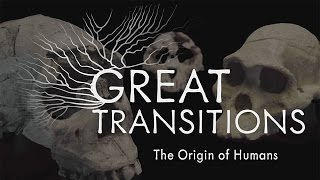 Great Transitions The Origin of Humans — HHMI BioInteractive Video [upl. by Nadaba]