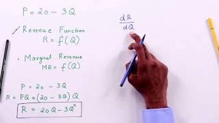 Revenue Function and Marginal Revenue [upl. by Enegue993]