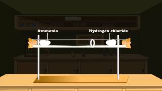 Diffusion in gases [upl. by Hassadah987]