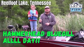 GIANT BLUEGILL AT REEL FOOT Lets Fish 122021 SouthEAST Reelfoot Lake Tennessee [upl. by Eceirehs]