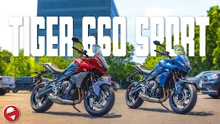 Everything you NEED to know about the Triumph Tiger 660 Sport [upl. by Eijneb]