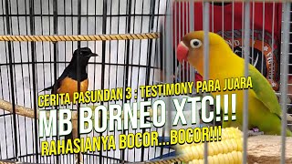 Cerita Pasundan 3  Love Bird Pakumas Pertamakali Gantang Langsung Juara di Pasundan 3 [upl. by Ettennan447]