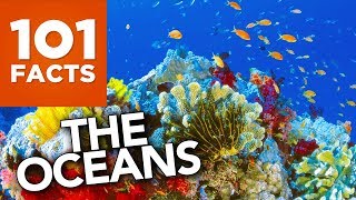 101 Facts About The Oceans [upl. by Brandice520]