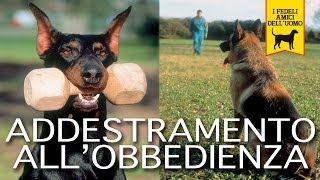 ADDESTRAMENTO ALLOBBEDIENZA trailer documentario cani e cinofilia [upl. by Firmin]