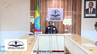 Ethiopia A Message From Adanech Abebe   Hachalu Hundesa [upl. by Treat66]