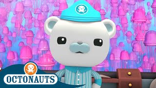 Octonauts  Jellyfish Adventure  Cartoons for Kids  Underwater Sea Education [upl. by Salchunas]