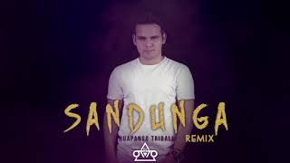 Sandunga  Dj Otto Huapango Tribal 2019 remix [upl. by Eneleh]