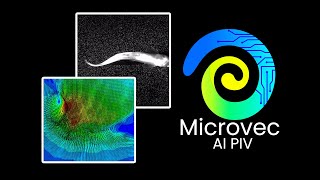 Artificial Intelligence in Particle Image Velocimetry [upl. by Mourant]