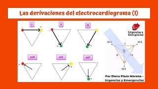 Las derivaciones del EKG I [upl. by Mclyman]