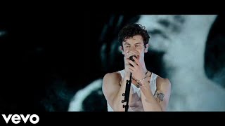 Shawn Mendes  Mercy  Shawn Mendes Live in Concert  part 1 [upl. by Helen735]