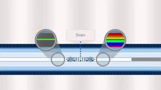 FBG Optical Sensing Overview [upl. by Yrocal]