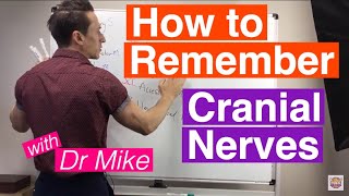 How To Remember Cranial Nerves [upl. by Dahsar749]